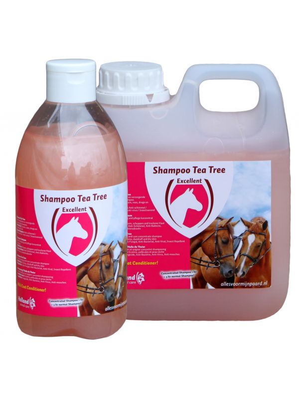 Shampoo Tea Tree Horse